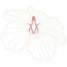 shape.png